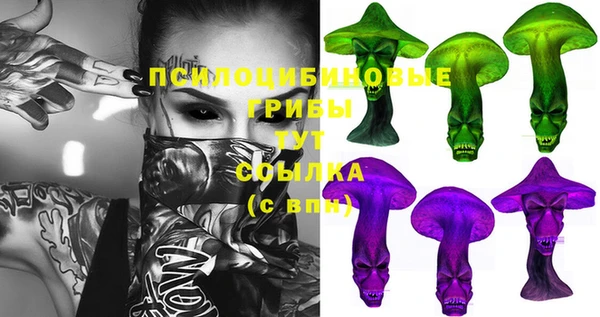 МДПВ Горнозаводск
