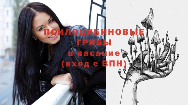 spice Горняк